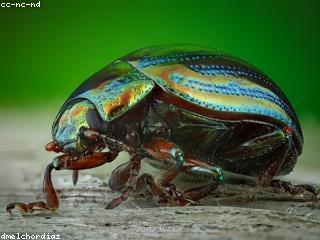 The lowest mortgage rates around